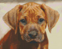 Pixelhobby Pixel szett 4 normál alaplappal, színekkel, kutyakölyök (804447)