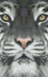 Pixelhobby Pixel szett 2 normál alaplappal, színekkel, tigris (802107)