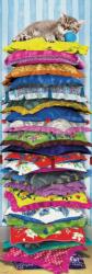 EUROGRAPHICS 6010-5631 - Panoráma puzzle - Fluffy Kitty on Pillows - 1000 db-os puzzle