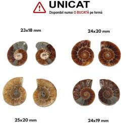  Fosil Natural Brute Ammonit Cleoniceras Druzy Opalizat - 23-25 x 18-20 mm - ( XXL) - 1 Pereche
