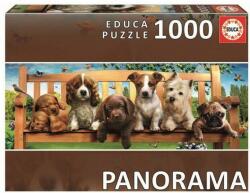 Educa Puzzle panoramic Educa din 1000 de piese - Catei (EDU19038) Puzzle
