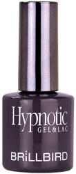 BrillBird Hypnotic Gel&Lac 8ml 22