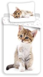 Jerry Fabrics Sweet Animals Kitten white ágyneműhuzat 140x200 cm (VO-ST-218132)