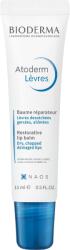 BIODERMA Atoderm Ultra-nourishing Lip Balm 15 ml