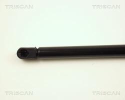 TRISCAN Amortizor capota TRISCAN 8710 27104 (8710 27104) - automobilus