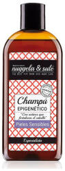 NUGGELA & SULÉ Epigenetico Nuggela Sulé sampon 250 ml