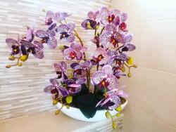 Lila 4 virágos orchidea kerámia kaspóban (lilaorchidea5)