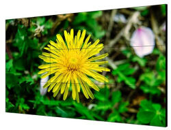 Hikvision DS-D2055LE-G