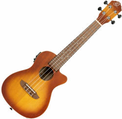 Ortega Guitars Rudawn-CE