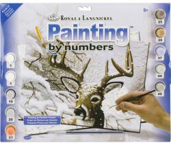 Royal & Langnickel Prima pictura pe numere junior mare Cerb iarna (PJL35)
