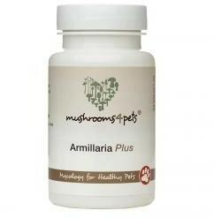 Mushrooms4Pets Armillaria Plus 60 buc