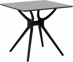 Fromm & Starck Asztal - négyzet - 80 x 80 cm - fekete (STAR_DESK_36)