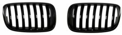 BLIC Grila radiator BLIC 6502-07-0096990P - automobilus
