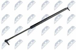 NTY Amortizor portbagaj NTY AE-CH-006 (AE-CH-006)