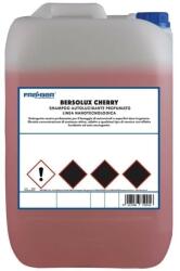 Fra-Ber Bersolux Cherry - illatosított kézi és gépi autósampon - 25Kg