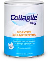 Collagile - Kollagén kutyáknak és macskáknak 1 db-os kiszerelés