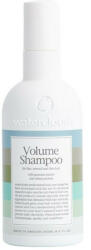 Waterclouds Volume sampon a selymes hajért 250 ml