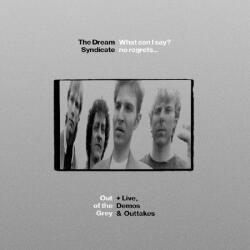 Dream Syndicate What Can I Say? No