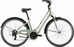 Giant Liv Flourish FS 3 Lady (2022)