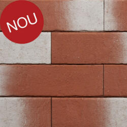 Terca Pelaris Maca Red (215 x 65 x 14 mm) (Terca-65715161)