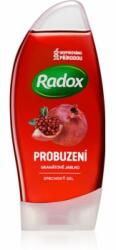 Radox Awakening Gel de duș energizant Pomegranate 250 ml