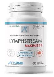 Provita Nutrition Lymphstream Maximizer 60 capsule Konig Laboratorium