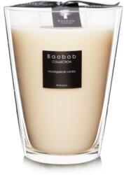 Baobab Collection All Seasons Madagascar Vanilla 24 cm