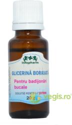 INFOPHARM Glicerina Boraxata 20g