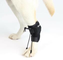  Ortocanis - Dispozitiv pentru corecția pasului pentru câini S