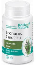 Rotta Natura - Leonurus cardiaca (Talpa Gastei) Rotta Natura 30 capsule 240 mg - hiris