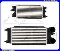 FORD FIESTA MK6 2013.02-2017.05. Intercooler, levegőhűtő "1, 6 SOHC Diesel" 300x147x76 FD4649