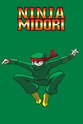BajoGames Ninja Midori (PC)