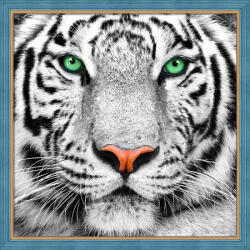 Mosfa Gyémántfestés szett - fehér tigris 25x25 cm (ART-AZ-1788)