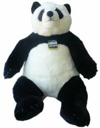Plus National Geographic - Urs panda mare (V770808)