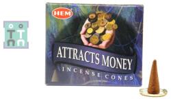 HEM Conuri Parfumate HEM Attracts Money Incense Cones