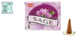  Conuri Parfumate Salvie HEM - Gardianul Spatiilor Sacre - Incense Cones - 1 Set