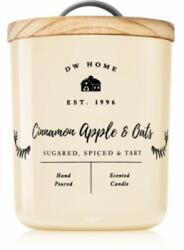 DW HOME Farmhouse Cinnamon Apple & Oats lumânare parfumată 241 g