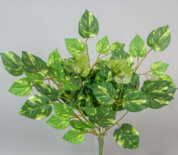  Szívlevelű tarka 9 ágú leveles álló zöld selyem bokor cserepezhető 50 cm