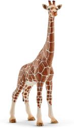 Schleich 14750 - Figurina Girafa Femela (14750)