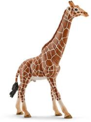 Schleich 14749 - Figurina Girafa Mascul (14749)