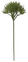 Selyemvirág heracleum csokor 38cm zöld (33276-015)