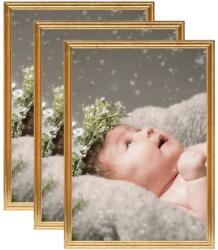 vidaXL Rame foto colaj pentru masă, 3 buc. , auriu, 15x21 cm, MDF (332412)