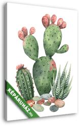 Vászonkép: Premium Kollekció: Watercolor vector collection of cacti and succulents plants isol(110x145 cm)