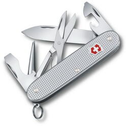 Victorinox Pioneer X VX0.8231