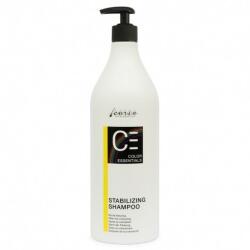 Carin Haircosmetics C.E. stabilizáló Sampon 950 ml