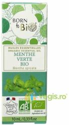 Born To Bio Ulei Esential de Menta Verde Ecologic/Bio 10ml