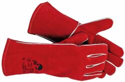 CERVA PUGNAX RED 0102007099100