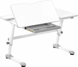 Fromm & Starck Állítható magasságú gyerek íróasztal - 120 x 66 cm - 0-50° dönthető - magasság: 600-760 mm - fiókkal (STAR_LDS_14)