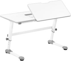 Fromm & Starck Állítható magasságú gyerek íróasztal - 120 x 66 cm - 0-50° -ban dönthető - magasság: 600-760 mm (STAR_LDS_13)