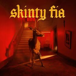 MG Records Zrt Fontaines D. C. - Skinty Fia (CD) (PTKF30162)